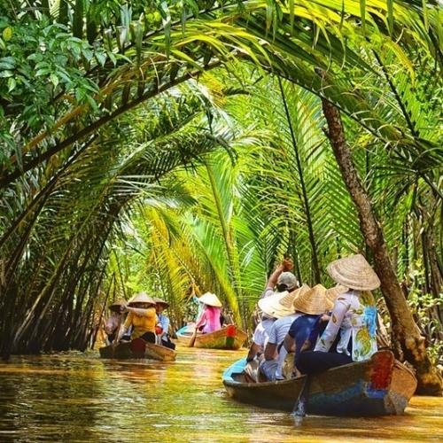 Day 9: Nypa canals in the Mekong Delta.