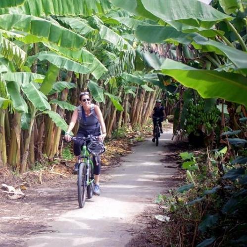 Day 12: Green orchard in Mekong Delta